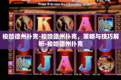 梭哈德州扑克-梭哈德州扑克，策略与技巧解析-梭哈德州扑克