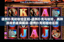 德州扑克和梭哈区别-德州扑克与梭哈，两种游戏的差异解读-德州扑克和梭哈区别