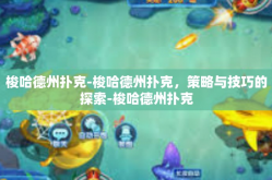 梭哈德州扑克-梭哈德州扑克，策略与技巧的探索-梭哈德州扑克