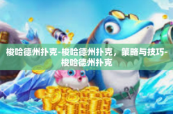 梭哈德州扑克-梭哈德州扑克，策略与技巧-梭哈德州扑克