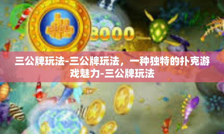 三公牌玩法-三公牌玩法，一种独特的扑克游戏魅力-三公牌玩法