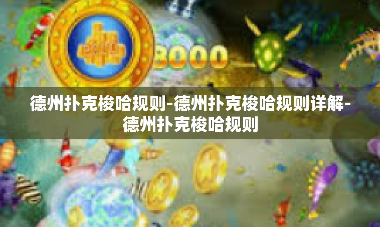德州扑克梭哈规则-德州扑克梭哈规则详解-德州扑克梭哈规则